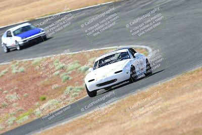 media/May-06-2023-Lucky Dog Racing (Sat) [[8f2256f436]]/Turn 2 10a/